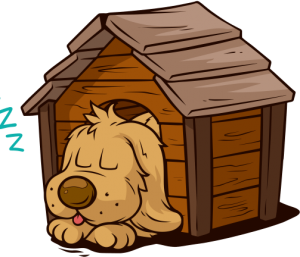 sleeping dog in doghouse